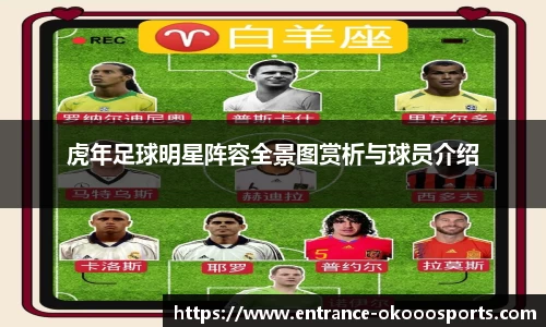虎年足球明星阵容全景图赏析与球员介绍